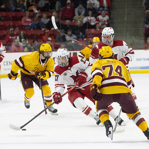 Miami ice hockey team